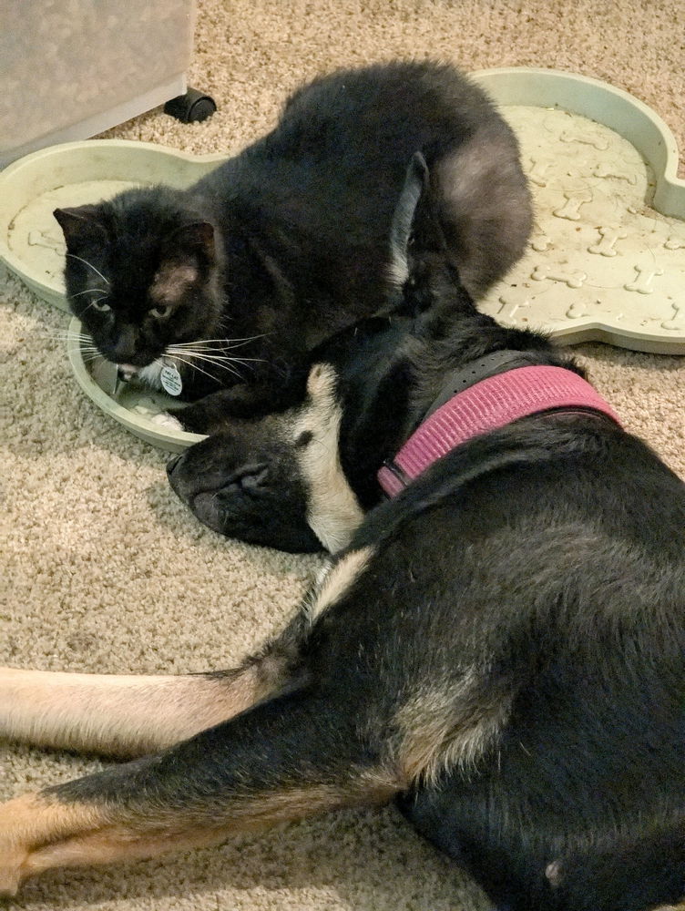 Best friends