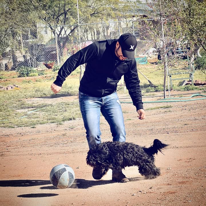 pet