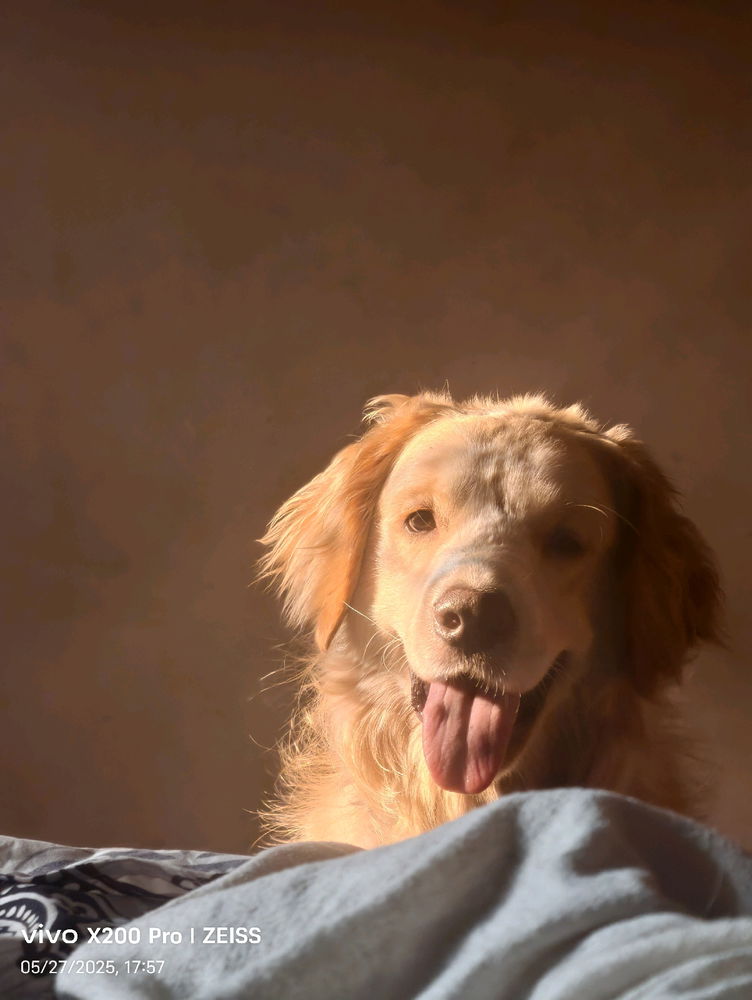 Max n Zeus