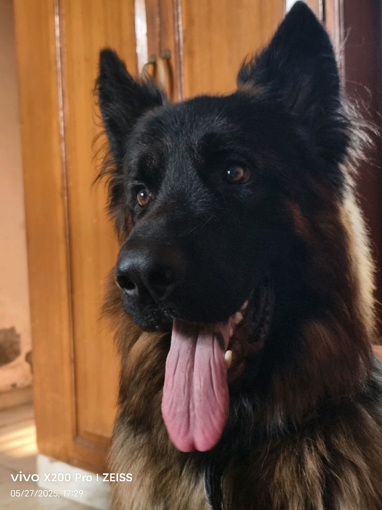 Max n Zeus
