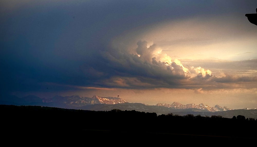 Swiss