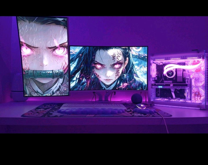 Setup