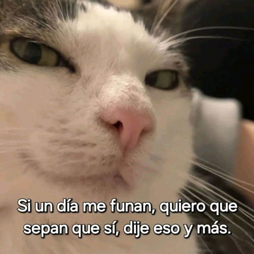 En teoría  deberia estar mimiendo  , pero me gusta ver meme y solo a estas horas tengo tiempo :"c (Realmente  no tengo xq deberia estar mimiendo  xd)