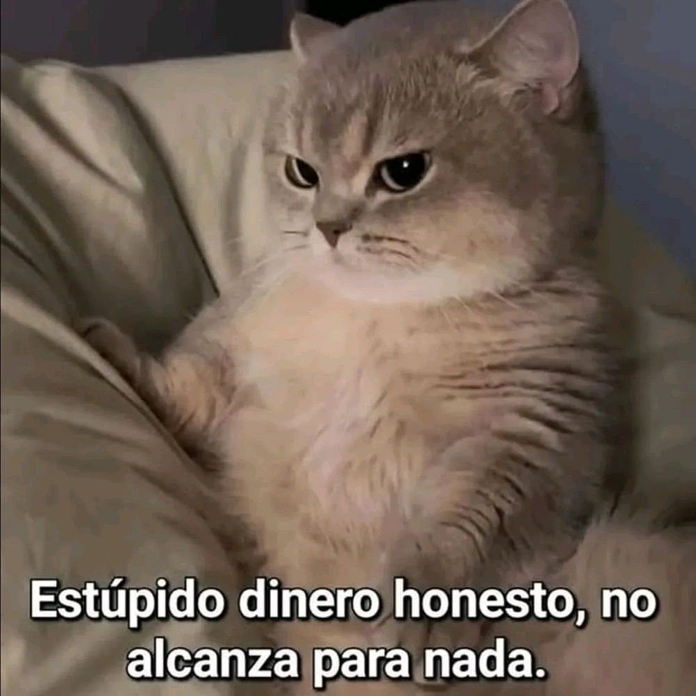 En teoría  deberia estar mimiendo  , pero me gusta ver meme y solo a estas horas tengo tiempo :"c (Realmente  no tengo xq deberia estar mimiendo  xd)