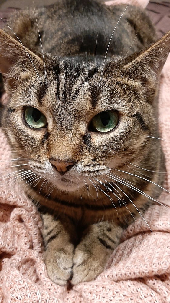 😍🤗😽Lumi❤❤❤❤