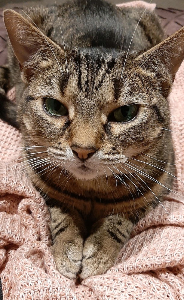 😍🤗😽Lumi❤❤❤❤