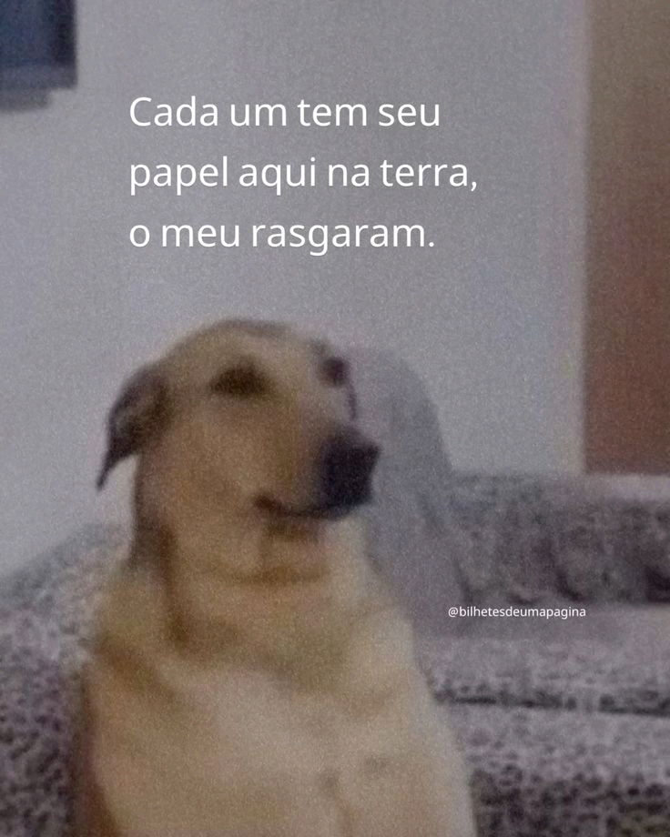 Até hj não sei quem rasgou o meu