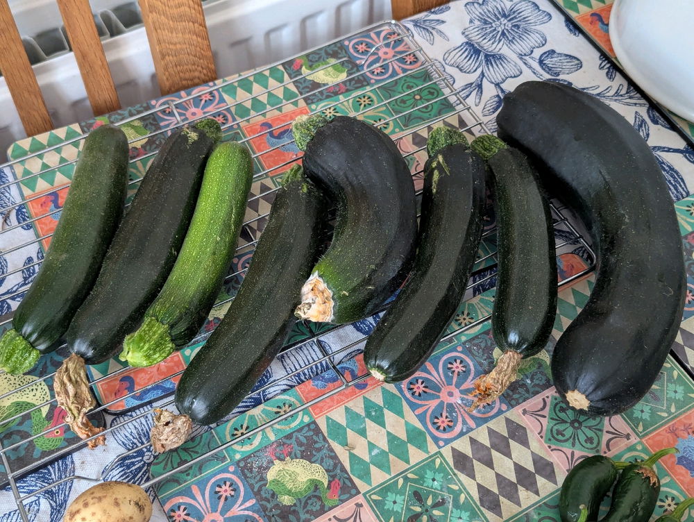 Finally the time of year when I can harvest some of my food