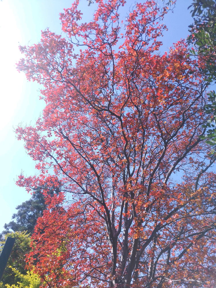 Had a walk..