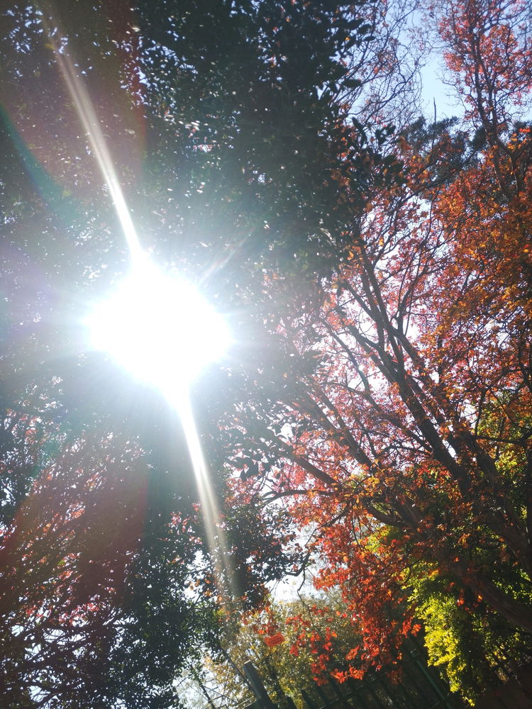 Had a walk..