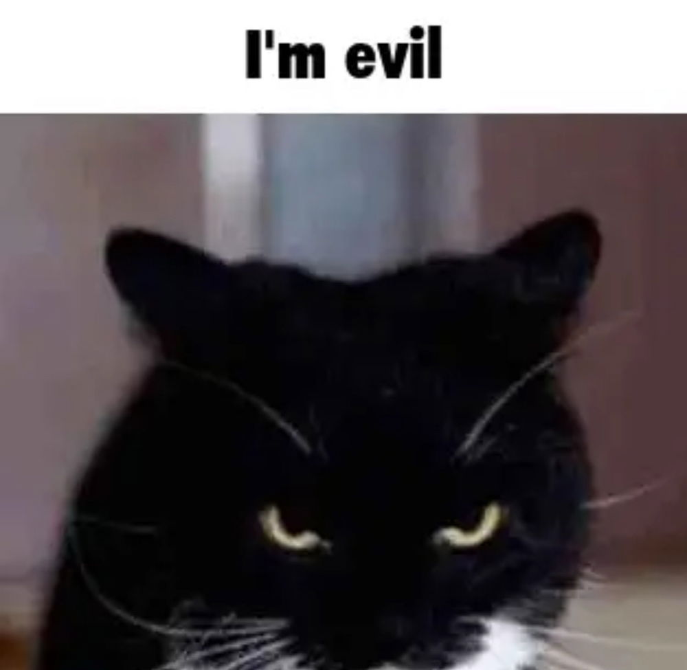 😾