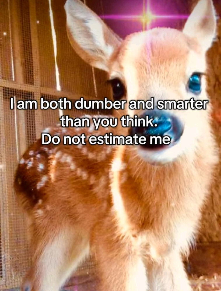 🩷🩷