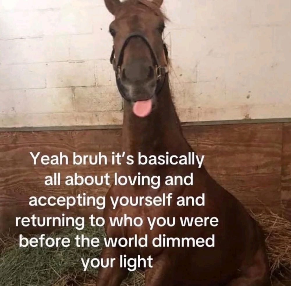 Facts ✨✨
