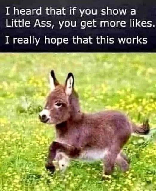 😂😂