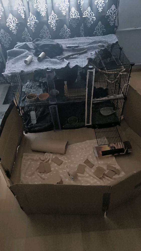 So jetzt haben sie das Gitter solange ich zuhause, bin im Zimmer immer offen!