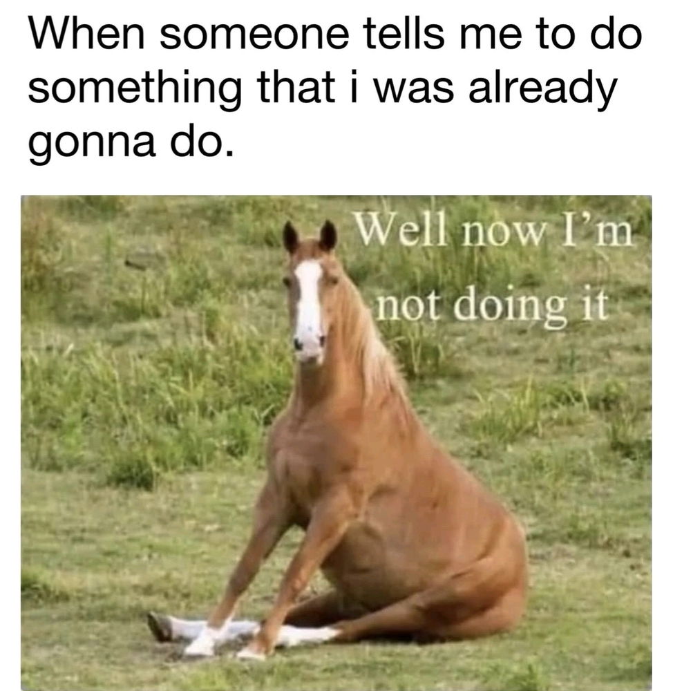 Don't tell me what to do.