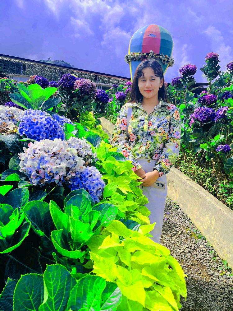 Jardin