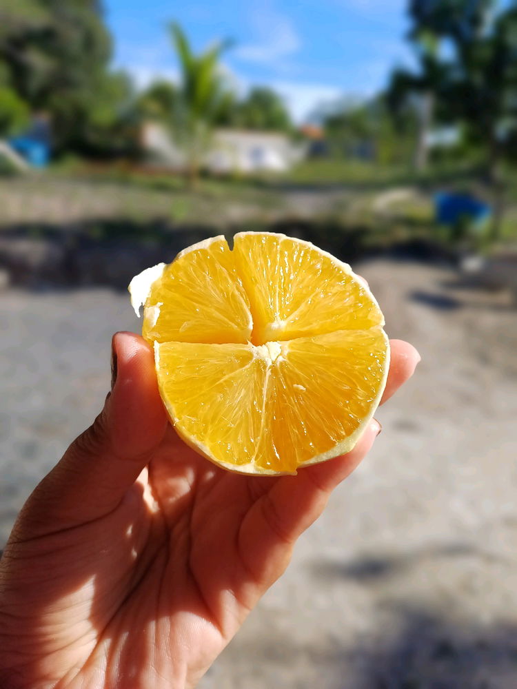 💛