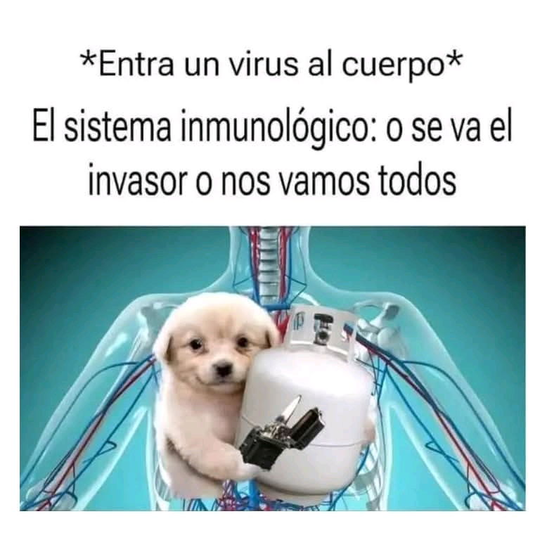 Gracias