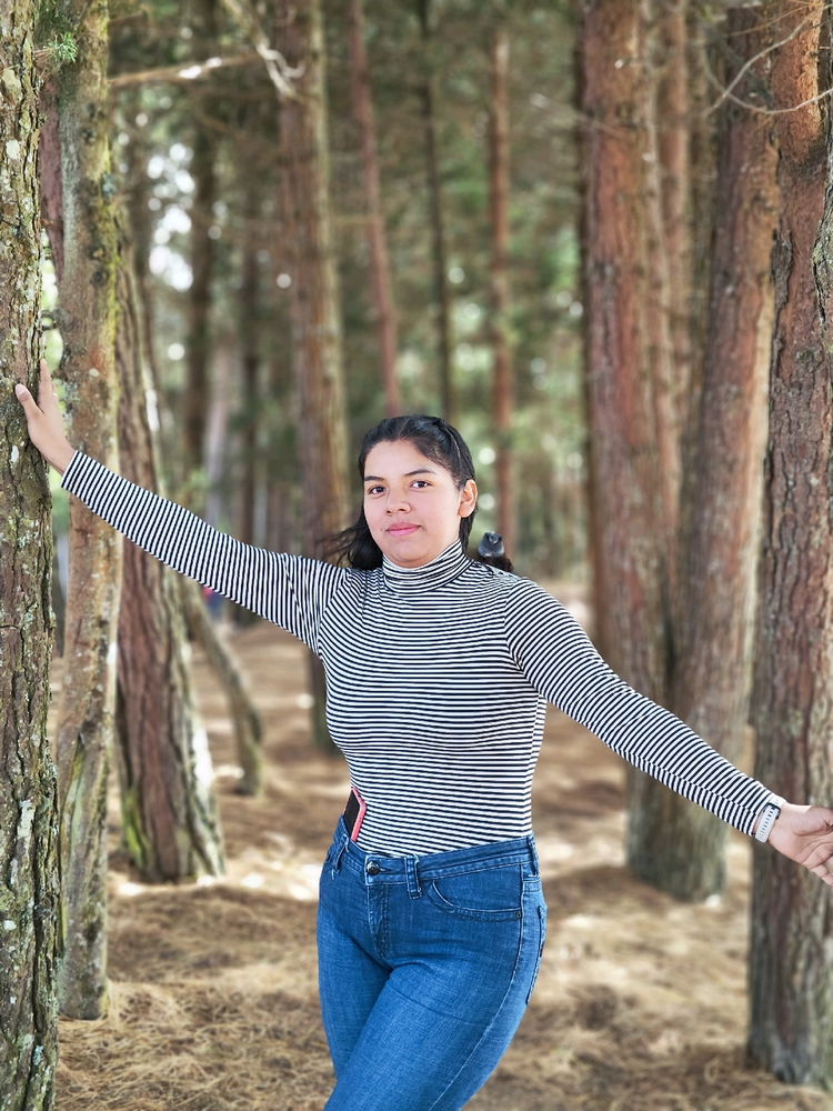 en la isla 🌲🌲🏞️ de visita
