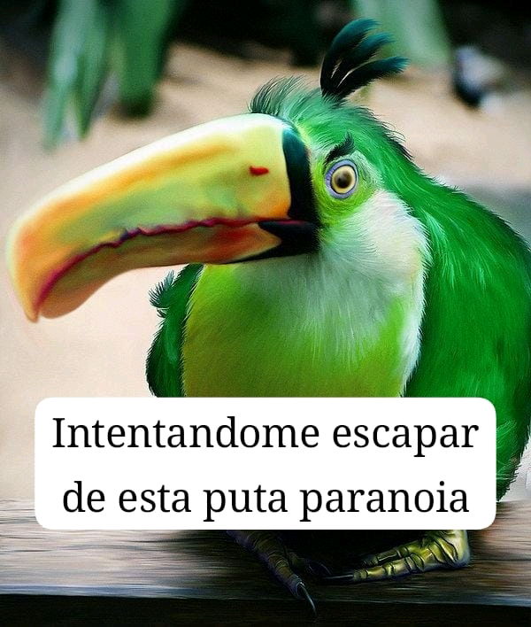 Yo