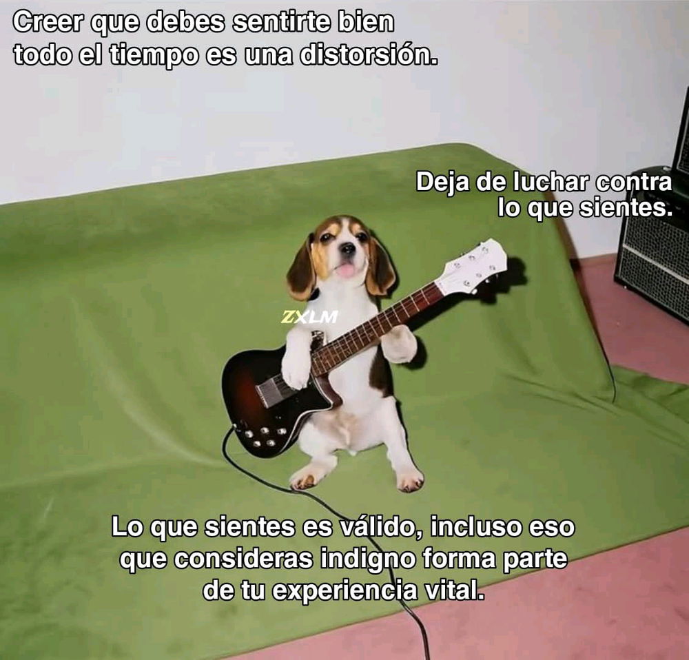 Solo siente