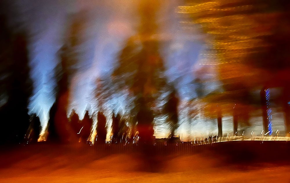 Life in Motion