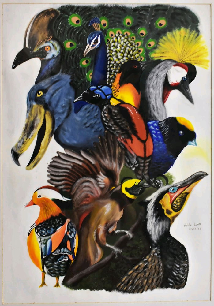 Colores en el Aire. - Pablo Luna.