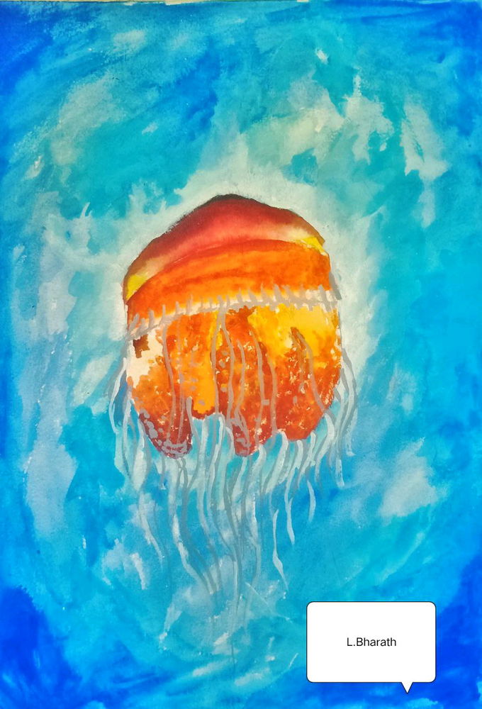 Jelly Fish