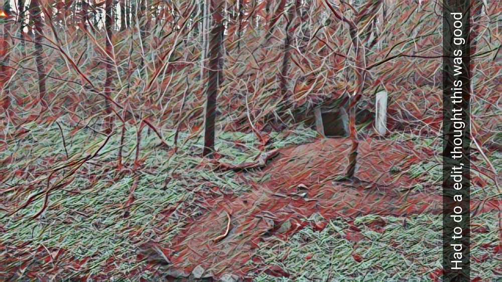 Hermit's Cave