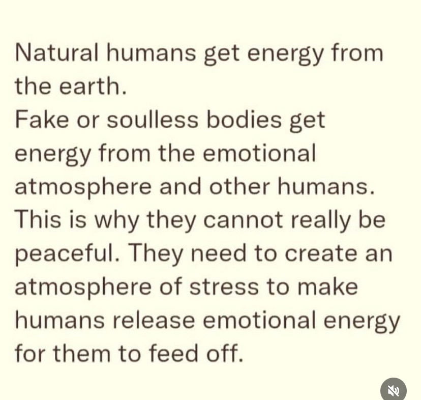 Food for thought 🧠💭