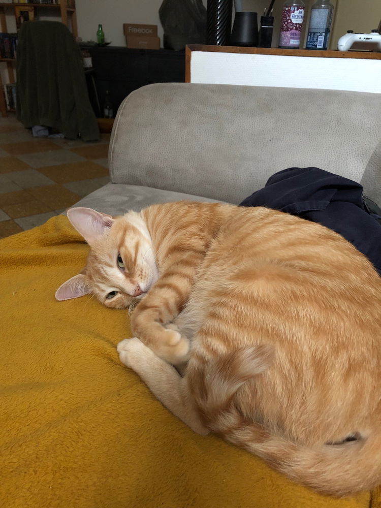 Photos du jours