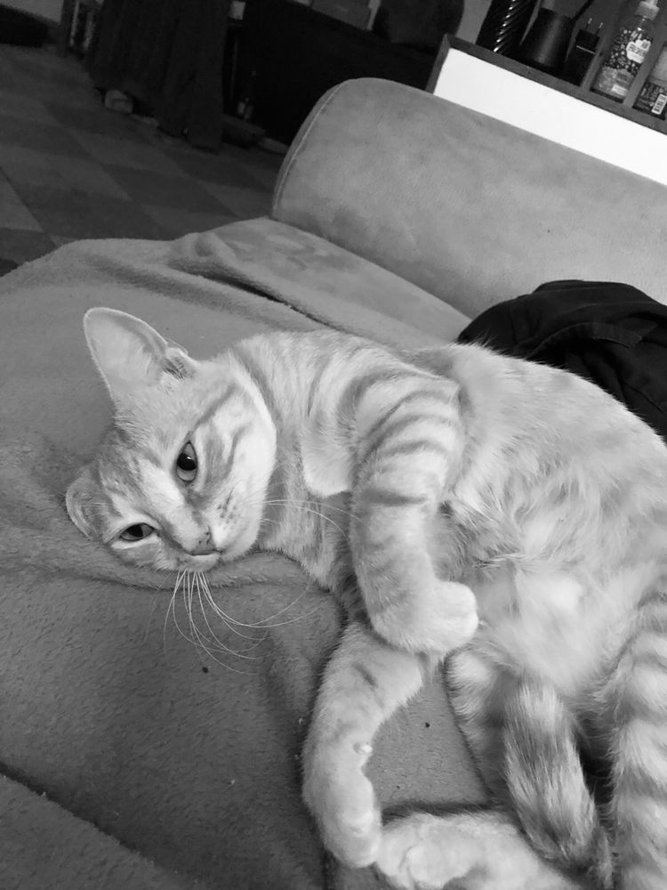 Photos du jours