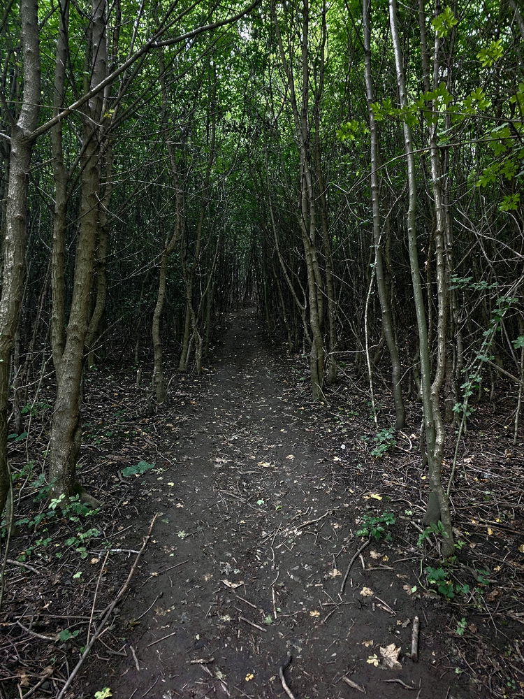 Kopřivnice