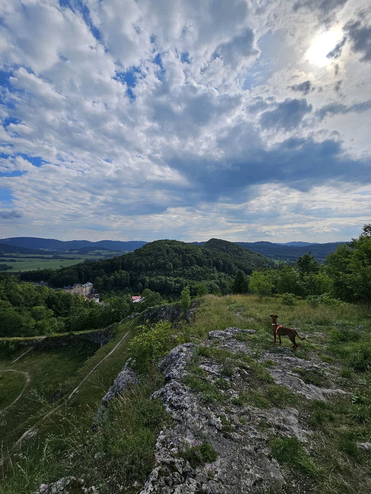 Kopřivnice