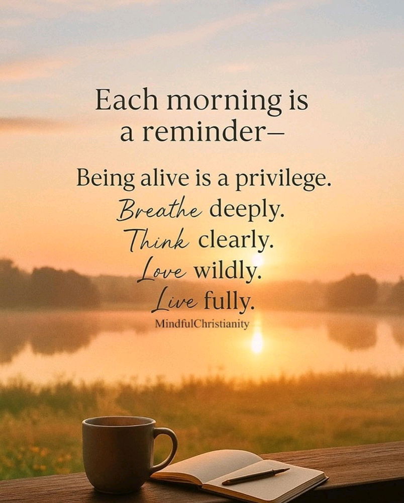 🌞 A Radiant Wednesday Blessing to Everyone Here! 🌸🙏🏼