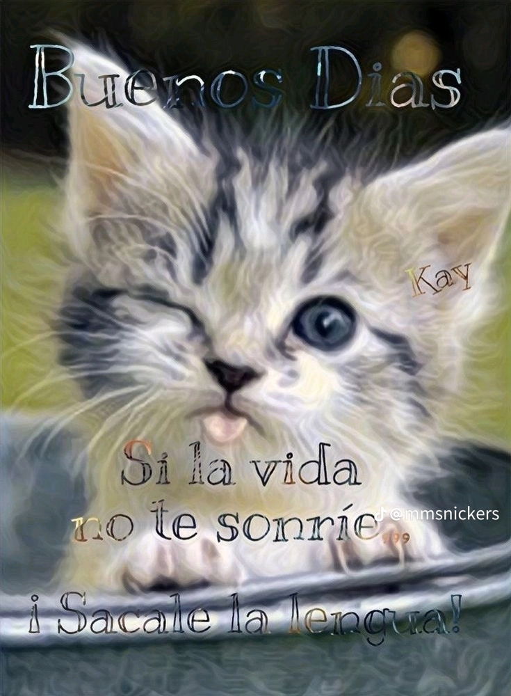 Buenos días