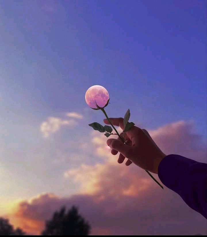 To the Moon and back