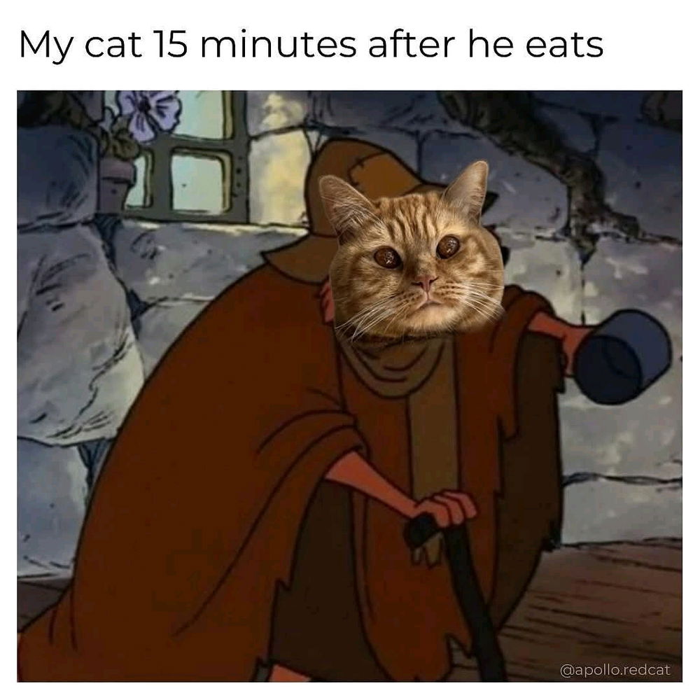 So I pour a Arizona green tea on a cup with ice and I left it on my coffee table .just to come back to find my cat drink some . I panickly took it away from her .😞