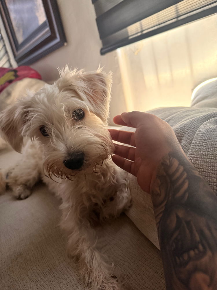 Mi bebé