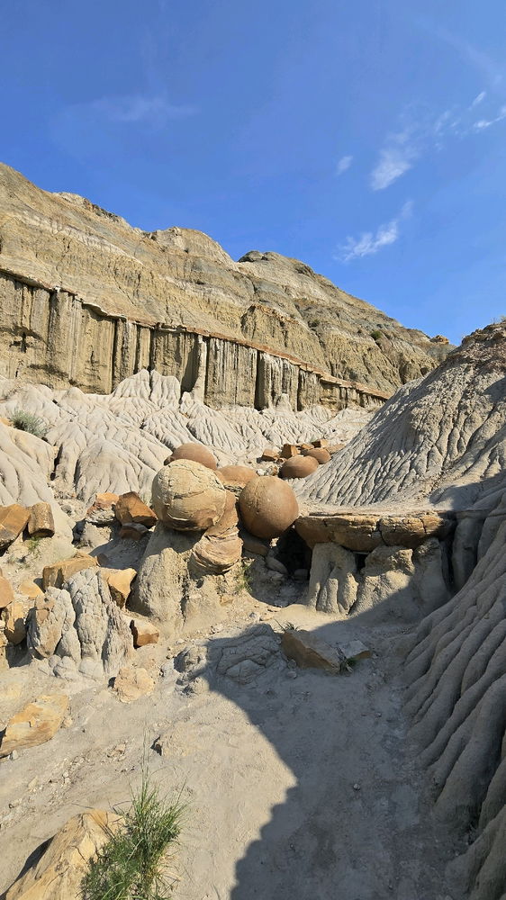 Teddy Roosevelt National Park