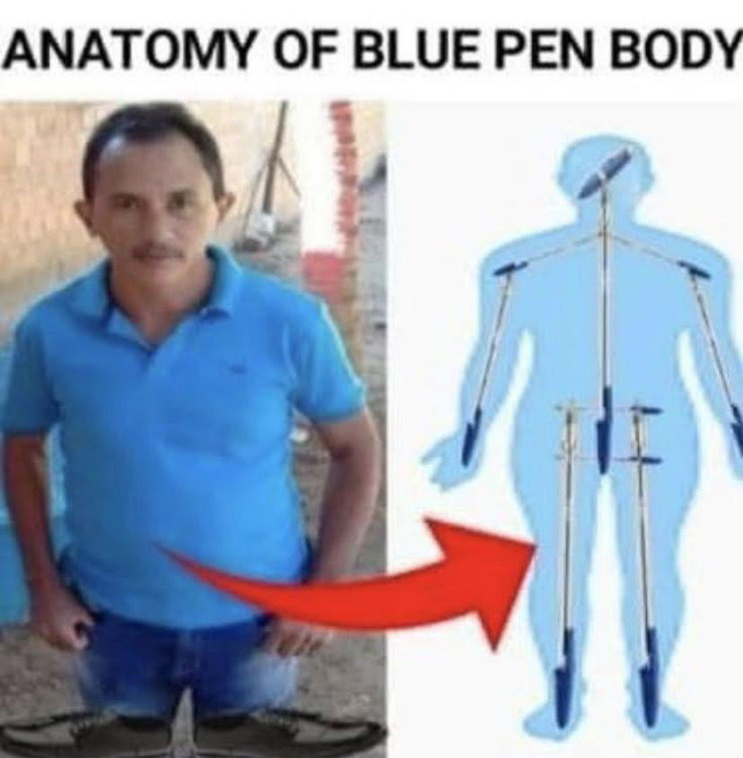 Anatomia do Caneta Azul