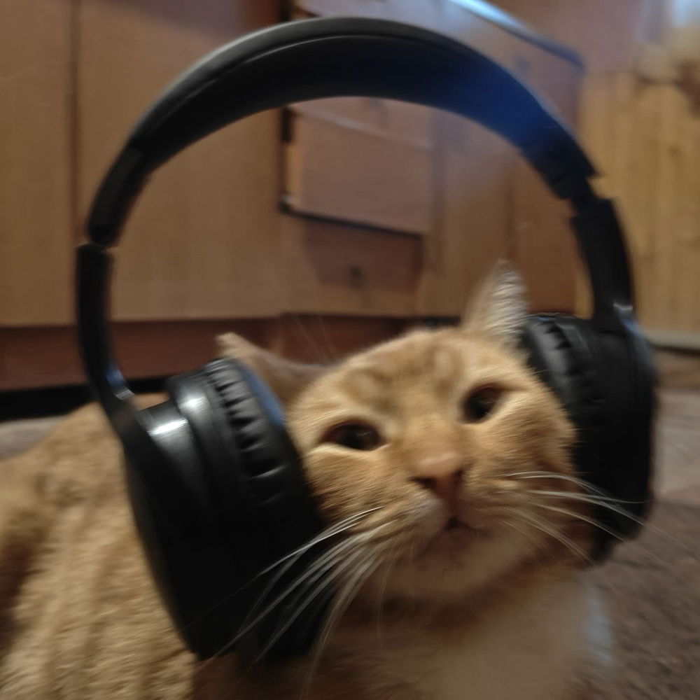 Phonk