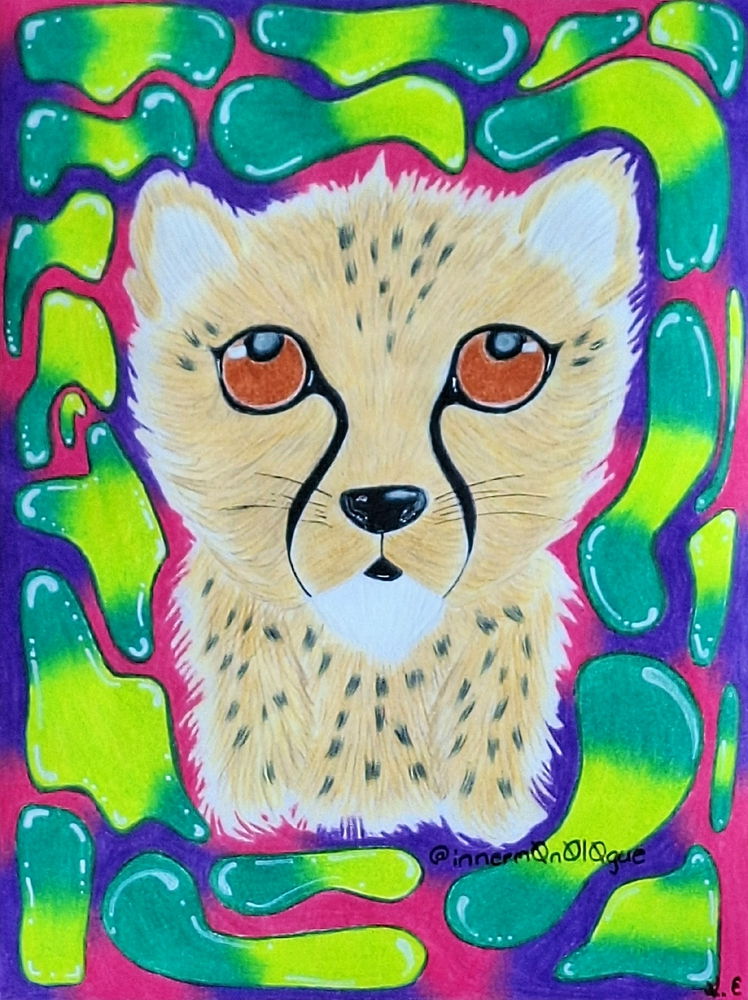 Lil Cheetah 🤗