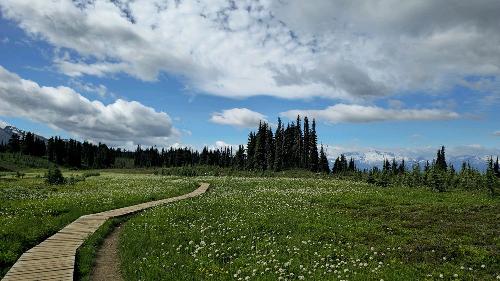 Hiking in the Canadian Rockies