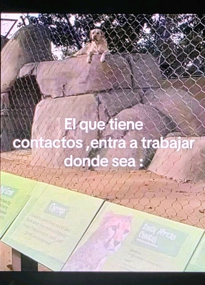 😄 cierto