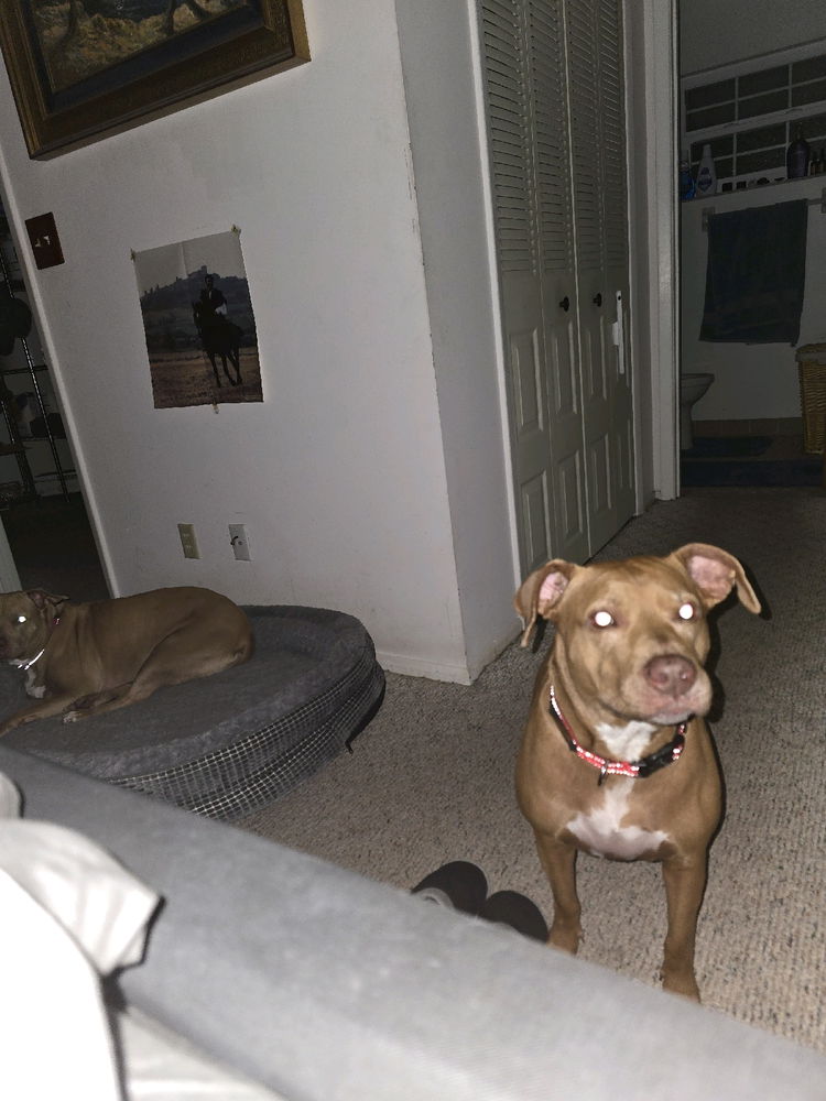 Attention seeker