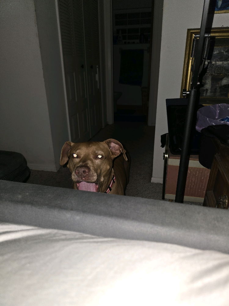 Attention seeker