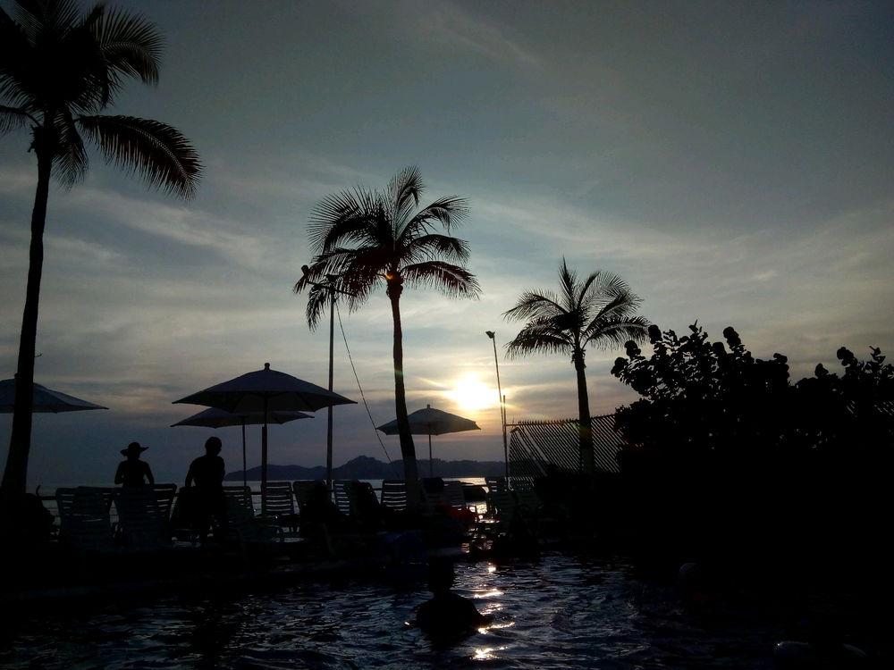 Barra de navidad Guadalajara