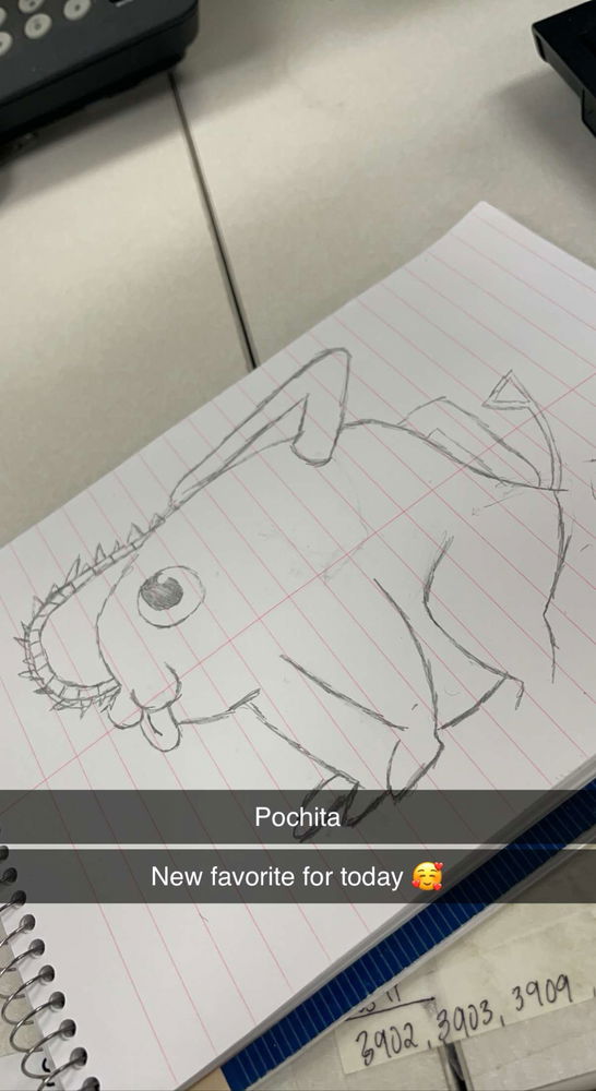 Pochitaaaaa